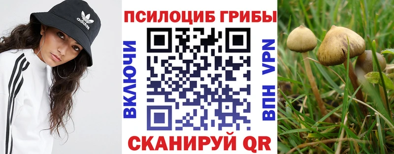 Галлюциногенные грибы мицелий  Пятигорск 