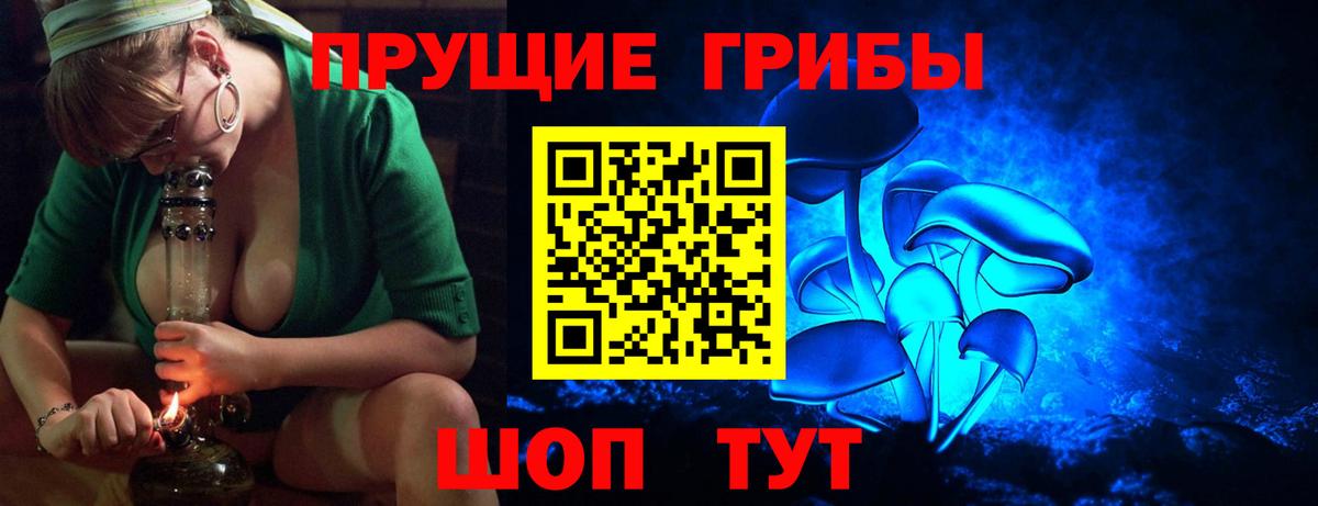 Галлюциногенные грибы MAGIC MUSHROOMS  Вход с VPN  Пятигорск 