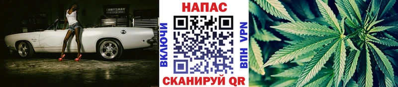 mega tor Пятигорск Канабис план